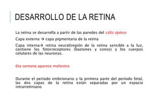 DESARROLLO DE LA RETINA
La retina se desarrolla a partir de las paredes del cáliz óptico
Capa externa  capa pigmentaria de la retina
Capa interna retina neural(región de la retina sensible a la luz,
contiene los fotorreceptores (bastones y conos) y los cuerpos
celulares de las neuronas.
6ta semana aparece melanina
Durante el período embrionario y la primera parte del período fetal,
las dos capas de la retina están separadas por un espacio
intrarretiniano
 