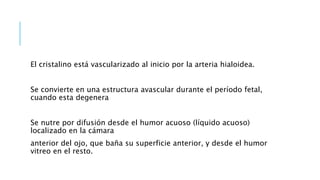 El cristalino está vascularizado al inicio por la arteria hialoidea.
Se convierte en una estructura avascular durante el período fetal,
cuando esta degenera
Se nutre por difusión desde el humor acuoso (líquido acuoso)
localizado en la cámara
anterior del ojo, que baña su superficie anterior, y desde el humor
vitreo en el resto.
 