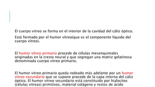 El cuerpo vitreo se forma en el interior de la cavidad del cáliz óptico.
Está formado por el humor vítreo(que es el componente líquido del
cuerpo vítreo).
El humor vítreo primario procede de células mesenquimales
originadas en la cresta neural y que segregan una matriz gelatinosa
denominada cuerpo vitreo primario,
El humor vitreo primario queda rodeado más adelante por un humor
vitreo secundario que se supone procede de la capa interna del cáliz
óptico. El humor vitreo secundario está constituido por hialocitos
(células vitreas) primitivos, material colágeno y restos de ácido
 