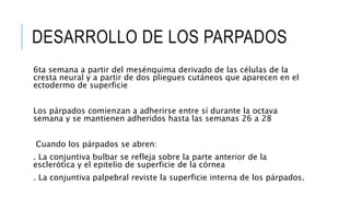 DESARROLLO DE LOS PARPADOS
6ta semana a partir del mesénquima derivado de las células de la
cresta neural y a partir de dos pliegues cutáneos que aparecen en el
ectodermo de superficie
Los párpados comienzan a adherirse entre sí durante la octava
semana y se mantienen adheridos hasta las semanas 26 a 28
Cuando los párpados se abren:
. La conjuntiva bulbar se refleja sobre la parte anterior de la
esclerótica y el epitelio de superficie de la córnea
. La conjuntiva palpebral reviste la superficie interna de los párpados.
 