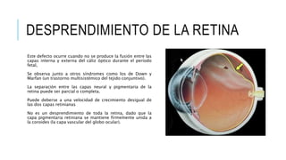 DESPRENDIMIENTO DE LA RETINA
Este defecto ocurre cuando no se produce la fusión entre las
capas interna y externa del cáliz óptico durante el período
fetal,
Se observa junto a otros síndromes como los de Down y
Marfan (un trastorno multisistémico del tejido conjuntivo).
La separación entre las capas neural y pigmentaria de la
retina puede ser parcial o completa.
Puede deberse a una velocidad de crecimiento desigual de
las dos capas retinianas
No es un desprendimiento de toda la retina, dado que la
capa pigmentaria retiniana se mantiene firmemente unida a
la coroides (la capa vascular del globo ocular).
 