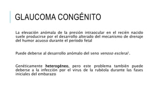 GLAUCOMA CONGÉNITO
La elevación anómala de la presión intraocular en el recién nacido
suele producirse por el desarrollo alterado del mecanismo de drenaje
del humor acuoso durante el período fetal
Puede deberse al desarrollo anómalo del seno venoso escleral .
Genéticamente heterogéneo, pero este problema también puede
deberse a la infección por el virus de la rubéola durante las fases
iniciales del embarazo
 