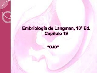 Embriología de Langman, 10ª Ed.
Capítulo 19
“OJO”
 