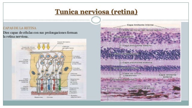 estructura