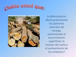 la deforestación
afecta gravemente
    los patrones
    naturales de
      recarga,
  aumentando el
   escurrimiento
    superficial, la
erosión del suelo y
el azolvamiento de
   los embalses?
 