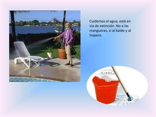 Cuidemos el agua, está en
vía de extinción. No a las
mangueras, sí al balde y al
trapero.
 