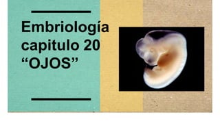 Embriología
capitulo 20
“OJOS”
 