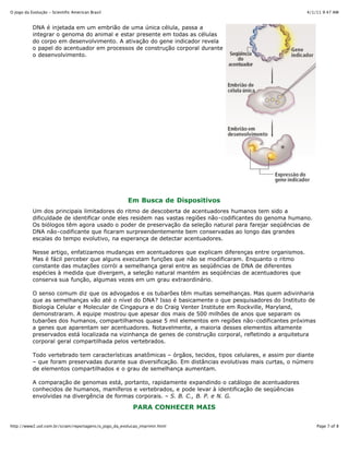 4/1/11 9:47 AMO Jogo da Evolução - Scientific American Brasil
Page 7 of 8http://www2.uol.com.br/sciam/reportagens/o_jogo_da_evolucao_imprimir.html
DNA é injetada em um embrião de uma única célula, passa a
integrar o genoma do animal e estar presente em todas as células
do corpo em desenvolvimento. A ativação do gene indicador revela
o papel do acentuador em processos de construção corporal durante
o desenvolvimento.
Em Busca de Dispositivos
Um dos principais limitadores do ritmo de descoberta de acentuadores humanos tem sido a
dificuldade de identificar onde eles residem nas vastas regiões não-codificantes do genoma humano.
Os biólogos têm agora usado o poder de preservação da seleção natural para farejar seqüências de
DNA não-codificante que ficaram surpreendentemente bem conservadas ao longo das grandes
escalas do tempo evolutivo, na esperança de detectar acentuadores.
Nesse artigo, enfatizamos mudanças em acentuadores que explicam diferenças entre organismos.
Mas é fácil perceber que alguns executam funções que não se modificaram. Enquanto o ritmo
constante das mutações corrói a semelhança geral entre as seqüências de DNA de diferentes
espécies à medida que divergem, a seleção natural mantém as seqüências de acentuadores que
conserva sua função, algumas vezes em um grau extraordinário.
O senso comum diz que os advogados e os tubarões têm muitas semelhanças. Mas quem adivinharia
que as semelhanças vão até o nível do DNA? Isso é basicamente o que pesquisadores do Instituto de
Biologia Celular e Molecular de Cingapura e do Craig Venter Institute em Rockville, Maryland,
demonstraram. A equipe mostrou que apesar dos mais de 500 milhões de anos que separam os
tubarões dos humanos, compartilhamos quase 5 mil elementos em regiões não-codificantes próximas
a genes que aparentam ser acentuadores. Notavelmente, a maioria desses elementos altamente
preservados está localizada na vizinhança de genes de construção corporal, refletindo a arquitetura
corporal geral compartilhada pelos vertebrados.
Todo vertebrado tem características anatômicas – órgãos, tecidos, tipos celulares, e assim por diante
– que foram preservadas durante sua diversificação. Em distâncias evolutivas mais curtas, o número
de elementos compartilhados e o grau de semelhança aumentam.
A comparação de genomas está, portanto, rapidamente expandindo o catálogo de acentuadores
conhecidos de humanos, mamíferos e vertebrados, e pode levar à identificação de seqüências
envolvidas na divergência de formas corporais. – S. B. C., B. P. e N. G.
PARA CONHECER MAIS
 