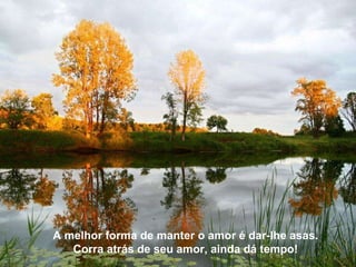 Texto Matriz A melhor forma de manter o amor é dar-lhe asas. Corra atrás de seu amor, ainda dá tempo! 