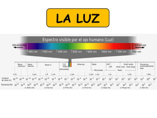 LA LUZ 
 