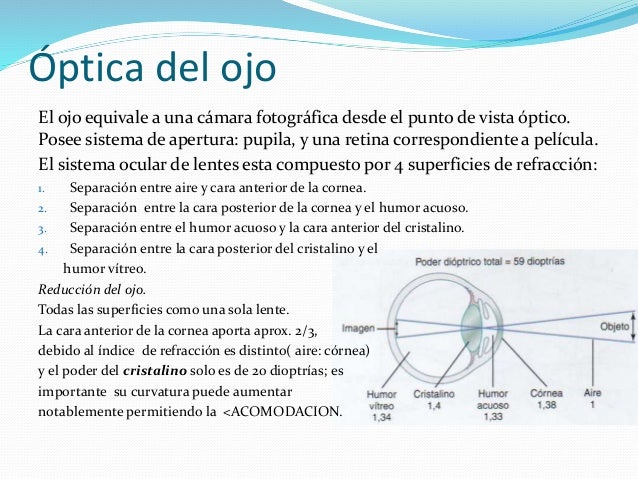 Ojo i, optica de la vision