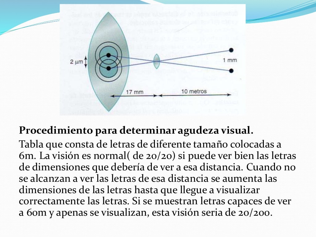 Ojo i, optica de la vision