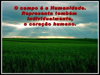 O campo é a Humanidade. Representa também  individualmente, o coração humano. 