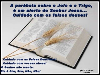    A parábola sobre o Joio e o Trigo, é um alerta do Senhor Jesus... Cuidado com os falsos deuses! Cuidado com as Falsas Doutrinas! (Mt 13.24-30, 36-43)  Cuidado com vossas almas! O Senhor não mente.  Ele é Sim, Sim, Não, Não! 