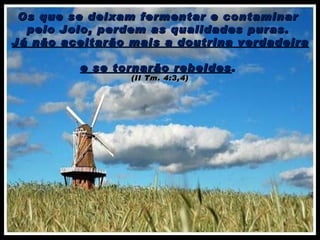 Os que se deixam fermentar e contaminar  pelo Joio, perdem as qualidades puras.  Já não aceitarão mais a doutrina verdadeira  e se tornarão rebeldes .  (II Tm. 4:3,4) 