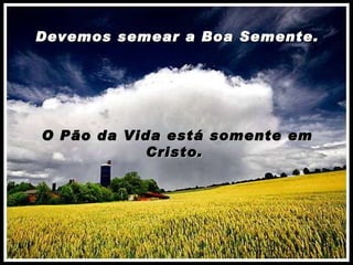 Devemos semear a Boa Semente. O Pão da Vida está somente em Cristo.  