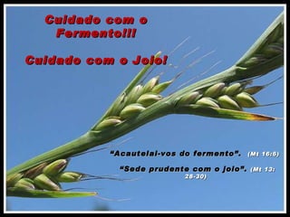 Cuidado com o Fermento!!! Cuidado com o Joio! “ Acautelai-vos do fermento”.  (Mt 16:6)  “ Sede prudente com o joio”.  (Mt 13: 28-30) 