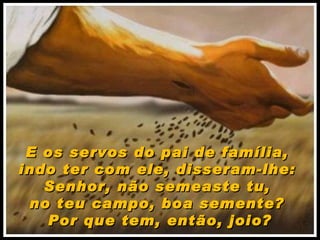 E os servos do pai de família,  indo ter com ele, disseram-lhe:  Senhor, não semeaste tu,  no teu campo, boa semente?  Por que tem, então, joio? 