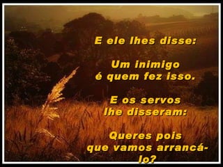 E ele lhes disse:  Um inimigo  é quem fez isso.  E os servos  lhe disseram:  Queres pois  que vamos arrancá-lo? 