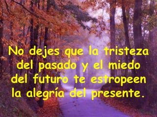 No dejes que la tristeza del pasado y el miedo del futuro te estropeen la alegría del presente. 