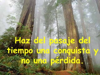 Haz del pasaje del tiempo una conquista y no una pérdida. 