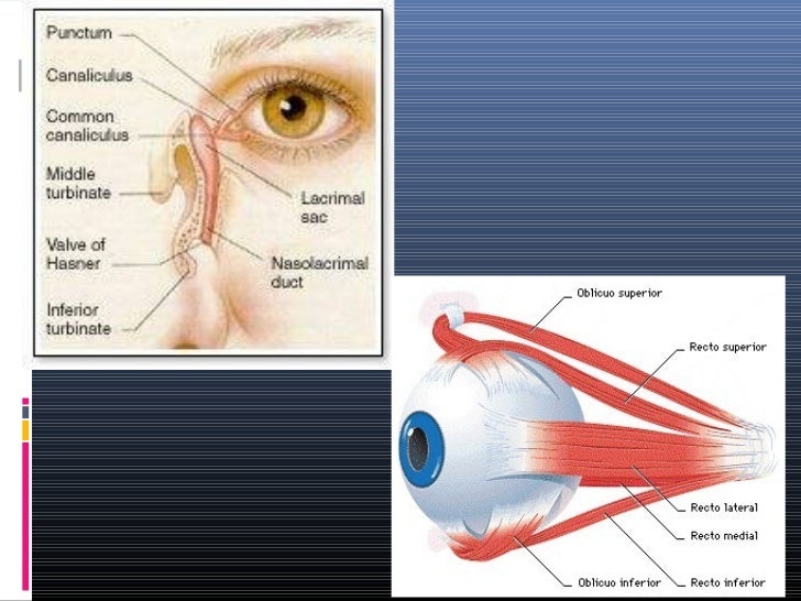 escozor de ojos y vision diabetes borrosa