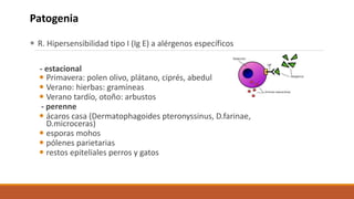 Patogenia
 R. Hipersensibilidad tipo I (Ig E) a alérgenos específicos
- estacional
 Primavera: polen olivo, plátano, cip...