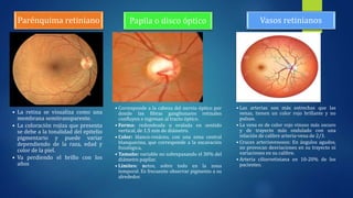 • La retina se visualiza como una
membrana semitransparente.
• La coloración rojiza que presenta
se debe a la tonalidad del epitelio
pigmentario y puede variar
dependiendo de la raza, edad y
color de la piel.
• Va perdiendo el brillo con los
años
Parénquima retiniano
• Corresponde a la cabeza del nervio óptico por
donde las fibras ganglionares retinales
confluyen e ingresan al tracto óptico.
• Forma: redondeada u ovalada en sentido
vertical, de 1.5 mm de diámetro.
• Color: blanco-rosáceo, con una zona central
blanquecina, que corresponde a la excavación
fisiológica,
• Tamaño: variable no sobrepasando el 30% del
diámetro papilar.
• Límites: netos, sobre todo en la zona
temporal. Es frecuente observar pigmento a su
alrededor.
Papila o disco óptico
• Las arterias son más estrechas que las
venas, tienen un color rojo brillante y no
pulsan.
• La vena es de color rojo vinoso más oscuro
y de trayecto más ondulado con una
relación de calibre arteria-vena de 2/3.
• Cruces arteriovenosos: En ángulos agudos,
no provocan desviaciones en su trayecto ni
variaciones en su calibre.
• Arteria ciliorretiniana en 10-20% de los
pacientes.
Vasos retinianos
 