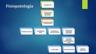 Fisiopatología
Hiperglicemia
Alteraciones del
metabolismo
intracelular
Aumento de sorbitol
y radicales libres
Pérdida de pericitos
Vasodilatación
capilar
Formación de
microaneurismas
Activación de
coagulación
intracapilar
Trombosis
intracapilar y
posterior isquemia
retinal
Hemorragias Neovascularización
Manchas
algodonosas
 
