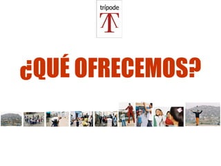 ¿QUÉ OFRECEMOS? 
