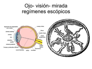 Ojo- visión- mirada regímenes escópicos 