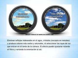 Eliminan reflejos indeseados en el agua, cristales (excepto en metales) 
y produce colores más reales y saturados, al seleccionar los rayos de luz 
que entran en el lente de la cámara. El efecto puede ajustarse rotando 
el filtro y variando la orientación al sol. 
 