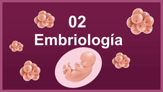 Embriología
02
 