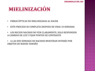 • FIBRAS ÓPTICAS NO MIELINIZADAS AL NACER
• ESTE PROCESO SE COMPLETA DESPUES DE UNAS 10 SEMANAS
• LOS RECIEN NACIDOS NO VEN CLARAMENTE, SOLO RESPONDEN
A CAMBIOS DE LUZ Y FIJAN PUNTOS DE CONTRASTE
• A LAS DOS SEMANAS DE NACIDOS MUESTRAN INTERÉS POR
OBJETOS DE MAYOR TAMAÑO

 