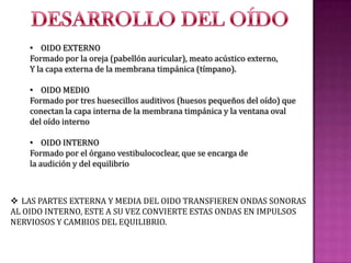 • OIDO EXTERNO
Formado por la oreja (pabellón auricular), meato acústico externo,
Y la capa externa de la membrana timpánica (tímpano).
• OIDO MEDIO
Formado por tres huesecillos auditivos (huesos pequeños del oído) que
conectan la capa interna de la membrana timpánica y la ventana oval
del oído interno
• OIDO INTERNO
Formado por el órgano vestibulococlear, que se encarga de
la audición y del equilibrio

 LAS PARTES EXTERNA Y MEDIA DEL OIDO TRANSFIEREN ONDAS SONORAS
AL OIDO INTERNO, ESTE A SU VEZ CONVIERTE ESTAS ONDAS EN IMPULSOS
NERVIOSOS Y CAMBIOS DEL EQUILIBRIO.

 
