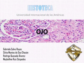 Gabriela Calvo ReyesGabriela Calvo Reyes
Silvia Montes de Oca ChacónSilvia Montes de Oca Chacón
Rodrigo Quesada ÁlvarezRodrigo Quesada Álvarez
Meybelline Ruiz CéspedesMeybelline Ruiz Céspedes
Universidad Internacional de las Américas
 