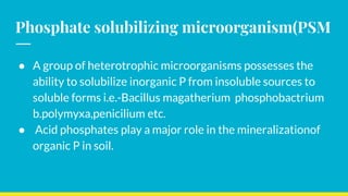 Phosphate solubilizing microorganism(PSM
● A group of heterotrophic microorganisms possesses the
ability to solubilize inorganic P from insoluble sources to
soluble forms i.e.-Bacillus magatherium phosphobactrium
b.polymyxa,penicilium etc.
● Acid phosphates play a major role in the mineralizationof
organic P in soil.
 