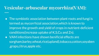 Vesicular-arbuscular mycorrhiza(VAM):
● The symbiotic association between plant roots and fungi is
termed as mycorrhizal association,which is known to
improve the growth and yield of crops in nutrient-deficient
conditions(increase uptake of K,S,Cu and Zn).
● VAM infections have shown benificial effects are
sorgham,barley,wheat,rice(upland),tobacco,cotton,soyaben
,graps,citrus,apple etc.
 
