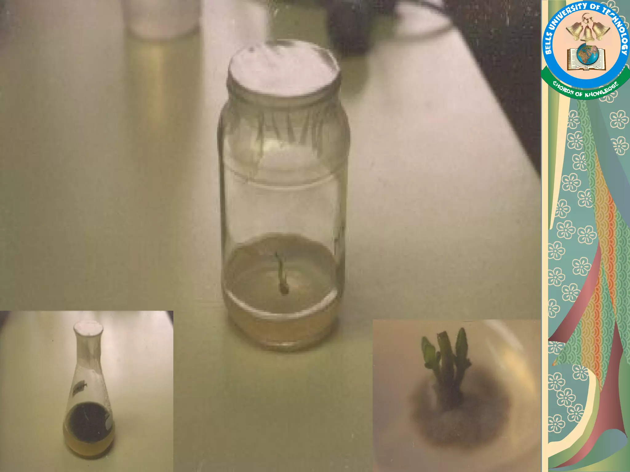 Plant Tissue Culture, Methods and Applications PPT