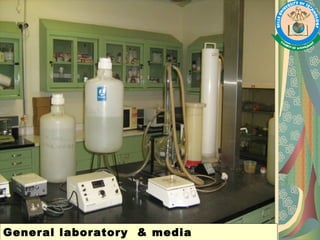 General laboratory & media
 