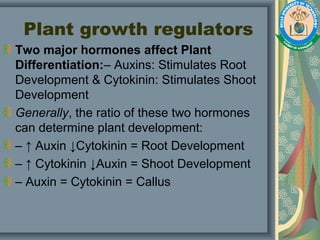 Plant growth regulators
Two major hormones affect Plant
Differentiation:– Auxins: Stimulates Root
Development & Cytokinin: Stimulates Shoot
Development
Generally, the ratio of these two hormones
can determine plant development:
– ↑ Auxin ↓Cytokinin = Root Development
– ↑ Cytokinin ↓Auxin = Shoot Development
– Auxin = Cytokinin = Callus
 