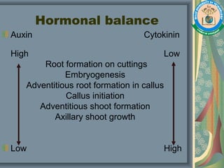 Hormonal balance
Auxin Cytokinin
High Low
Root formation on cuttings
Embryogenesis
Adventitious root formation in callus
Callus initiation
Adventitious shoot formation
Axillary shoot growth
Low High
 