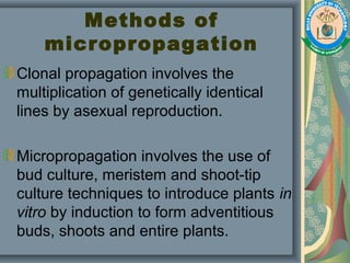 Methods of
micropropagation
Clonal propagation involves the
multiplication of genetically identical
lines by asexual reproduction.
Micropropagation involves the use of
bud culture, meristem and shoot-tip
culture techniques to introduce plants in
vitro by induction to form adventitious
buds, shoots and entire plants.
 
