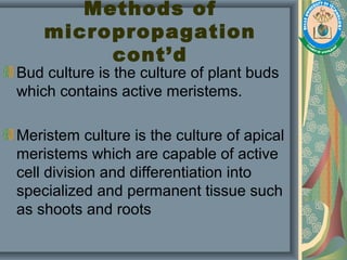 Methods of
micropropagation
cont’d
Bud culture is the culture of plant buds
which contains active meristems.
Meristem culture is the culture of apical
meristems which are capable of active
cell division and differentiation into
specialized and permanent tissue such
as shoots and roots
 