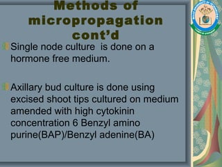 Methods of
micropropagation
cont’d
Single node culture is done on a
hormone free medium.
Axillary bud culture is done using
excised shoot tips cultured on medium
amended with high cytokinin
concentration 6 Benzyl amino
purine(BAP)/Benzyl adenine(BA)
 