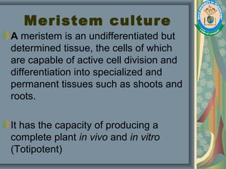 Meristem culture
A meristem is an undifferentiated but
determined tissue, the cells of which
are capable of active cell division and
differentiation into specialized and
permanent tissues such as shoots and
roots.
It has the capacity of producing a
complete plant in vivo and in vitro
(Totipotent)
 