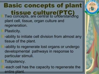 Basic concepts of plant
tissue culture(PTC)Two concepts, are central to understanding
plant cell, tissue, organ culture and
regeneration.
Plasticity.
-ability to initiate cell division from almost any
tissue of the plant.
-ability to regenerate lost organs or undergo
developmental pathways in response to
particular stimuli.
Totipotency.
-each cell has the capacity to regenerate the
entire plant.
 
