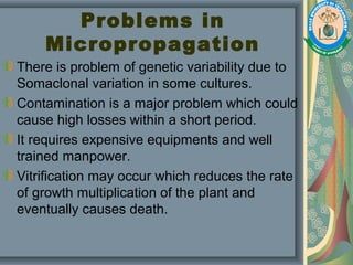 Problems in
Micropropagation
There is problem of genetic variability due to
Somaclonal variation in some cultures.
Contamination is a major problem which could
cause high losses within a short period.
It requires expensive equipments and well
trained manpower.
Vitrification may occur which reduces the rate
of growth multiplication of the plant and
eventually causes death.
 