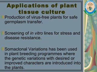 Applications of plant
tissue culture
Production of virus-free plants for safe
germplasm transfer.
Screening of in vitro lines for stress and
disease resistance.
Somaclonal Variations has been used
in plant breeding programmes where
the genetic variations with desired or
improved characters are introduced into
the plants.
 