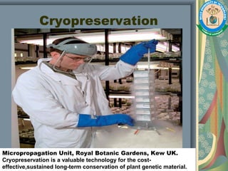 Cryopreservation
Micropropagation Unit, Royal Botanic Gardens, Kew UK.
Cryopreservation is a valuable technology for the cost-
effective,sustained long-term conservation of plant genetic material.
 